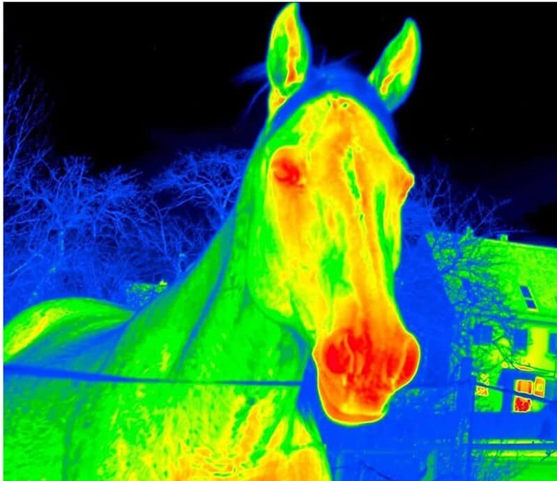 Detección por sensor PIR